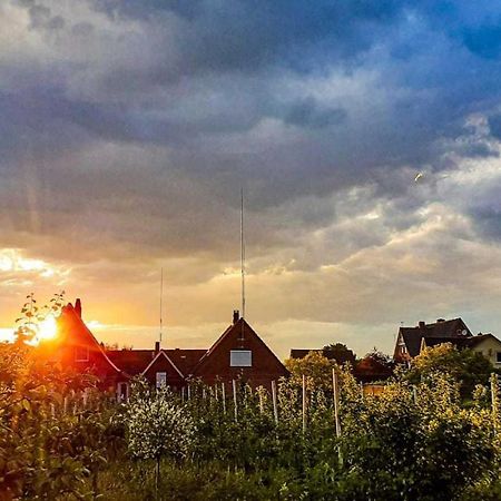 Ferienwohnung Bluetenblick Bachenbrock Luaran gambar