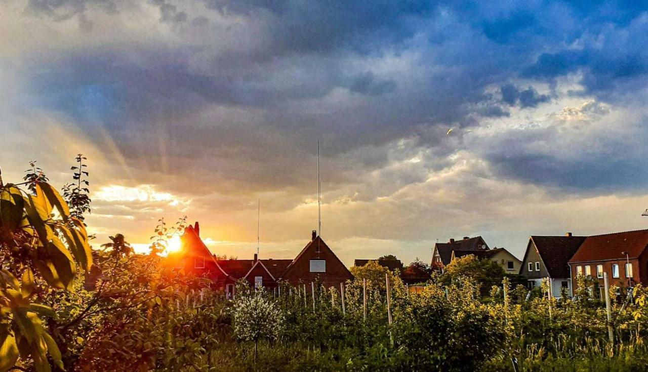 Ferienwohnung Bluetenblick Bachenbrock Luaran gambar